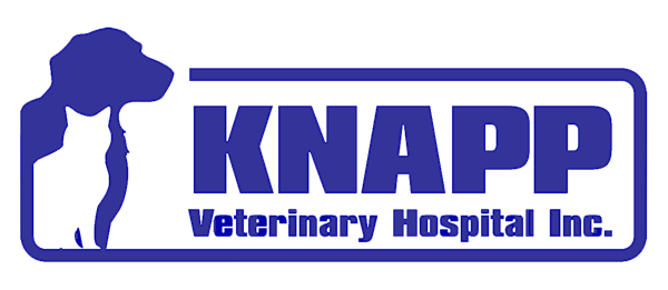 Knapp Veterinary Hospital